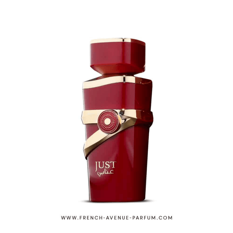 Just Anabi EDP By Fragrance World For Women 100ML